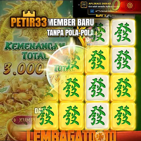 petir33 APK